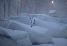 Автоексперт пояснив, як правильно доглядати машину під час снігопадів Автоексперт пояснив, як правильно доглядати машину під час снігопадів