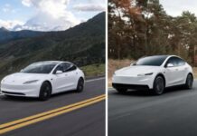 Tesla знову готує дешевий електрокар: перші деталі нового кросовера